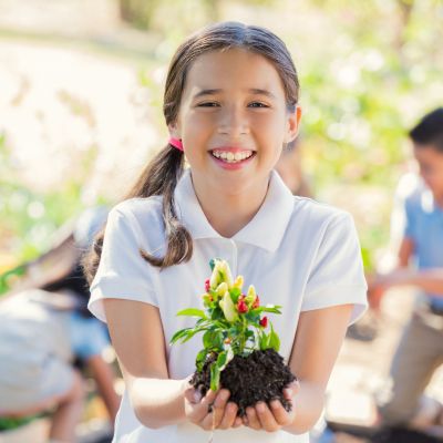 Garden Competition Finalists Named