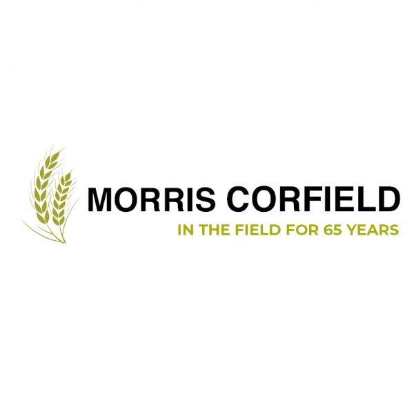 Morris Corfield