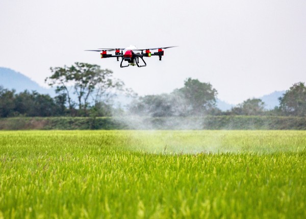 Will spray drones change the way we farm in the UK?