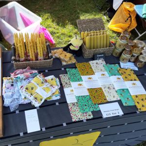 Alison's Bee Class